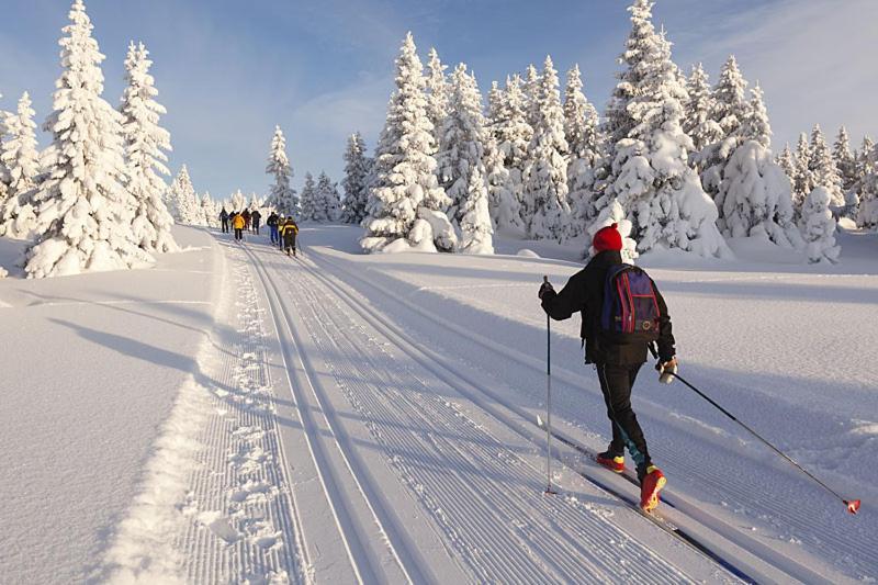 Ferienwohnung Graubunden Bonaduz Екстериор снимка