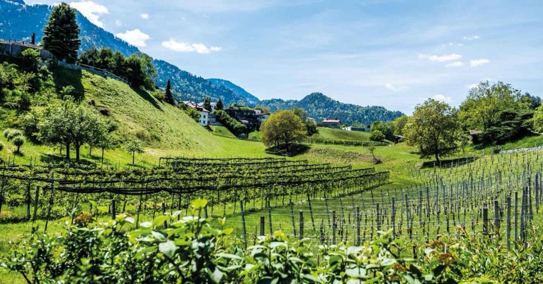 Ferienwohnung Graubunden Bonaduz Екстериор снимка